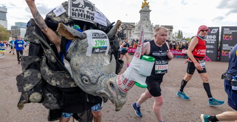 Person in running in a rhino costume for save the rhino's. There is a donation cup taped to the tusk of the rhino. 