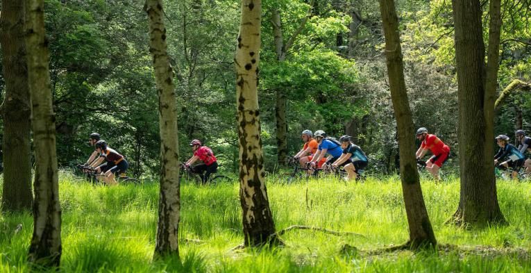 Cyclists riding through a forest during Ford RideLondon 2023