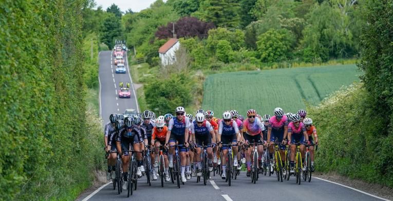 Pro riders cycle along a hilly country road