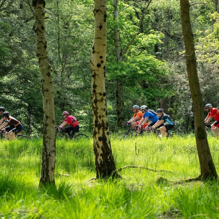 Cyclists riding through a forest during Ford RideLondon 2023