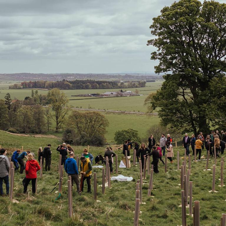 A group of people planting trees in a field