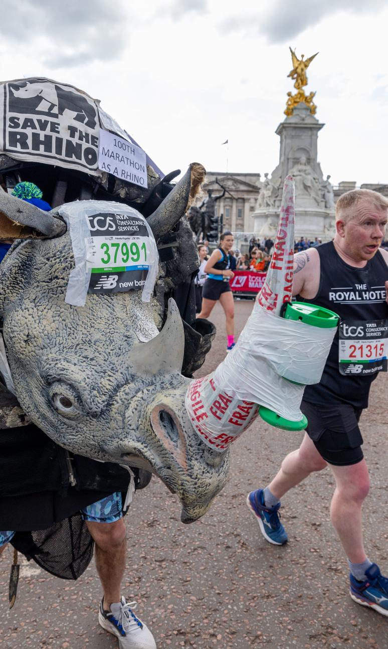 Person in running in a rhino costume for save the rhino's. There is a donation cup taped to the tusk of the rhino. 