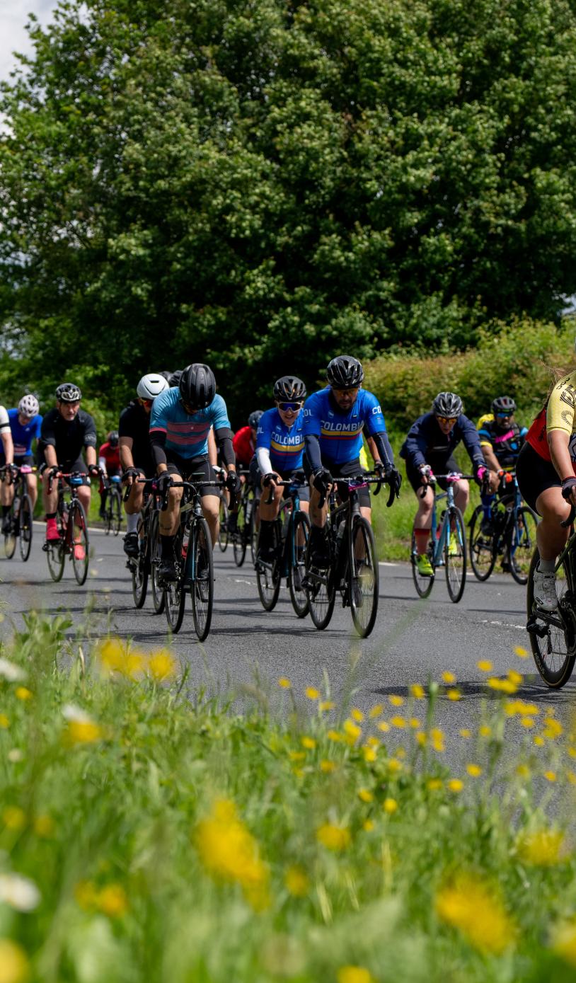 Group of cyclists cycle past a field of wildflowers during the RideLondon event